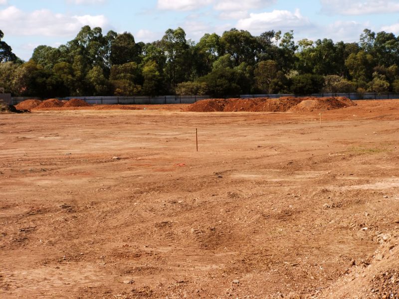 Clear Site Preparation