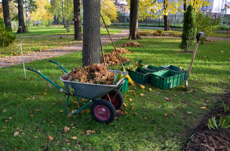 Property Line Clearing in Utah County, UT