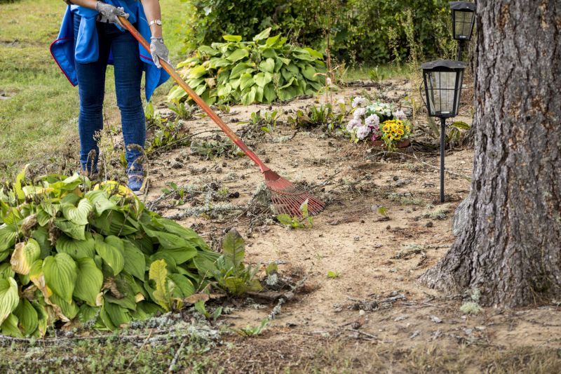 Who Does Boulder Clearings